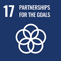 Logotipo y cabecera del SDG 17